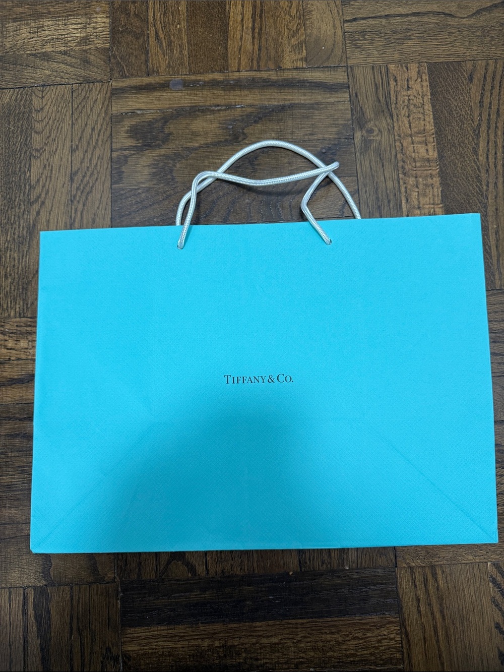 Tiffany & Co. Robin's Egg Blue Shopping Bag with White Rope Handles